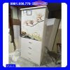 Tủ nhựa quần áo 2 cánh 4 ngăn kéo in 3D VTL02_12 đẹp